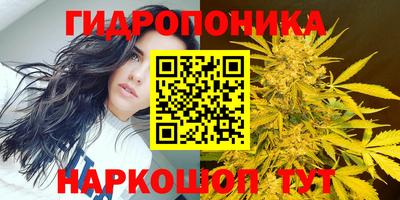 ALPHA PVP Усть-Джегута